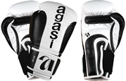 Boxing Glove