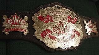 champio wrestling belt