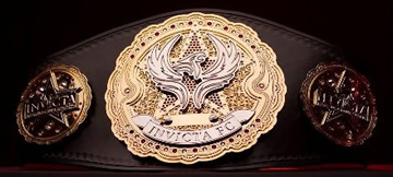 Black champion belt