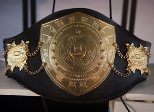 Custom Made Belt